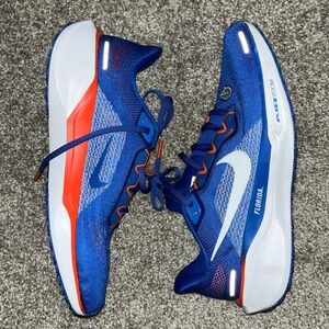 Men’s 10.5 Nike Pegasus 41 Florida Gators Running shoes